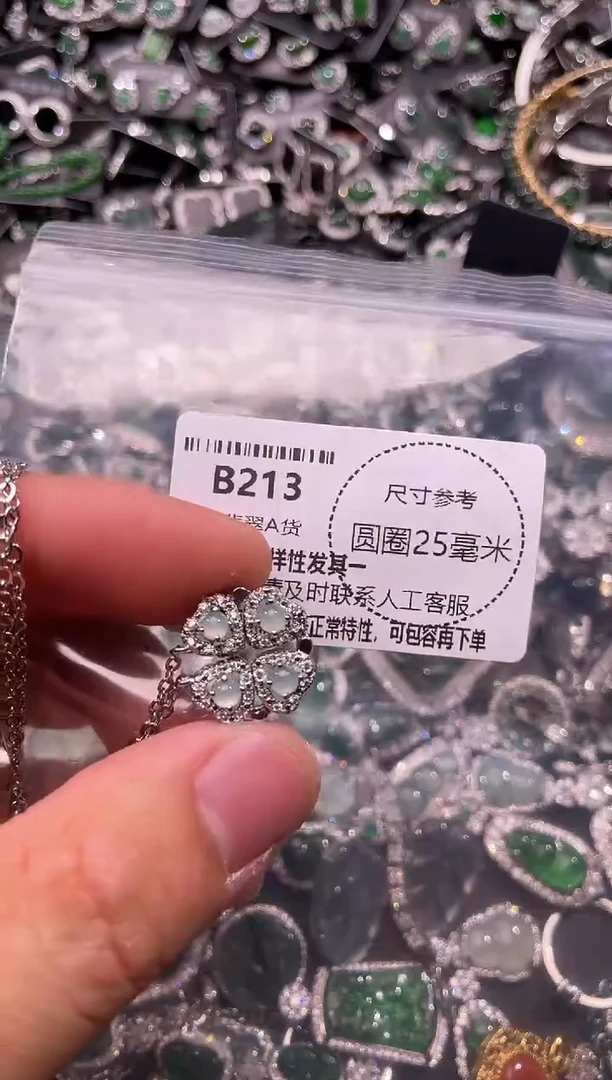 翡翠未镶嵌颈饰B213项链