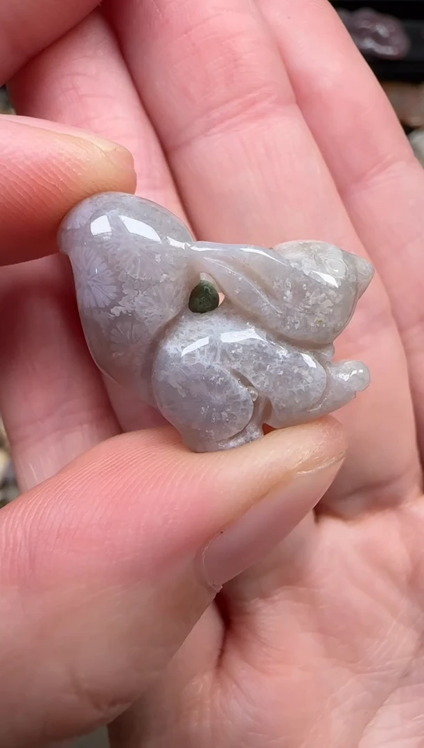 颈饰未镶嵌硅化珊瑚（珊瑚玉）717