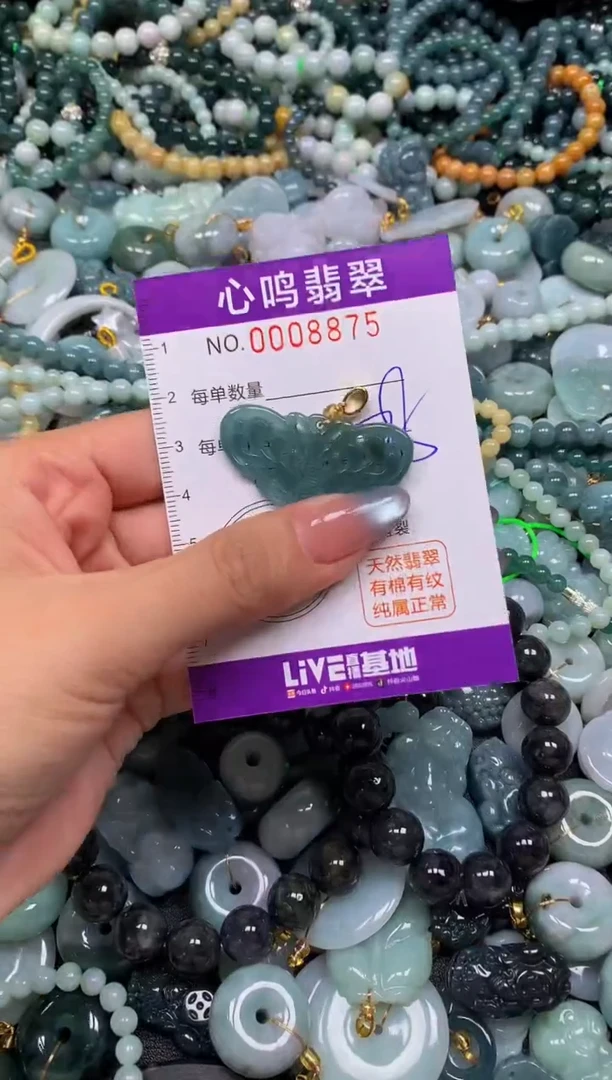 颈饰未镶嵌翡翠闪购008875