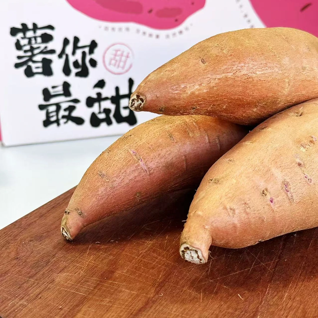 陕北沙地红薯，香蕉蜜薯