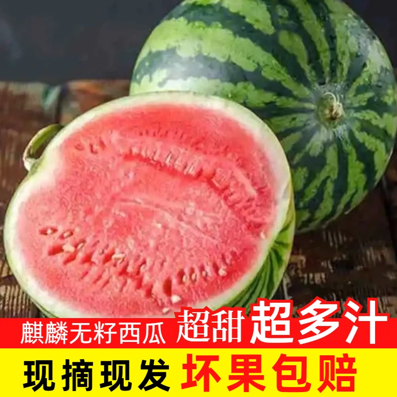 正宗麒麟西瓜粉心美都爆甜多汁盐碱地西瓜甜度更高