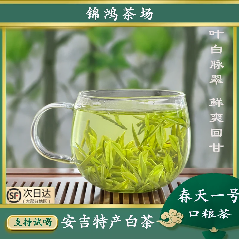 兰花香安吉特产茶白茶春天一号安吉高山茶绿茶特产白茶口粮茶茶叶