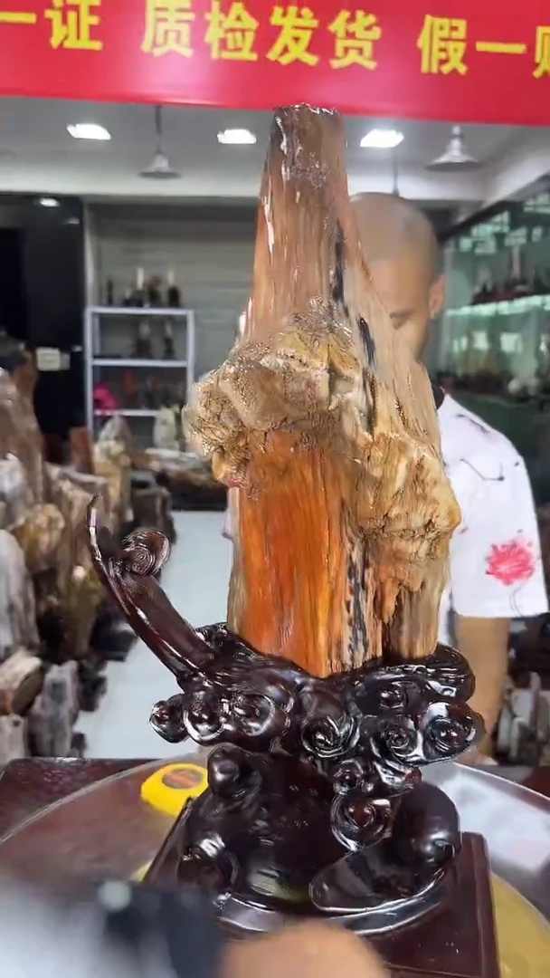 硅化玉珠宝奇石未镶嵌缅甸天然树化玉
