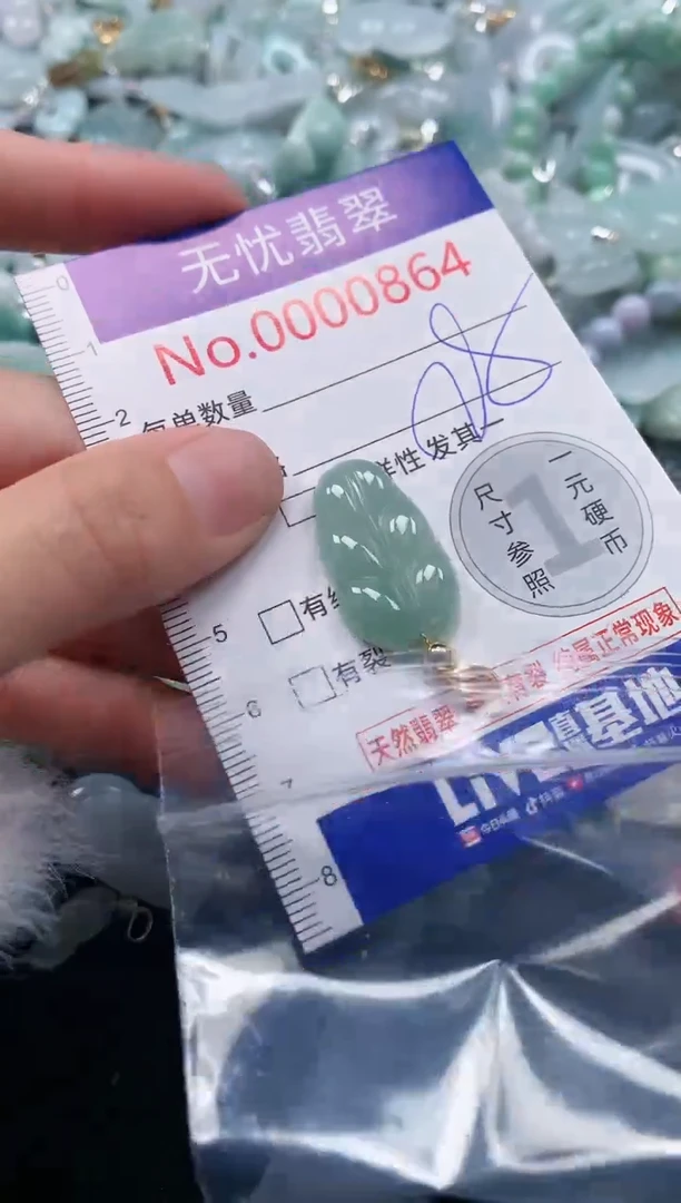 吊坠(不含链)未镶嵌翡翠864