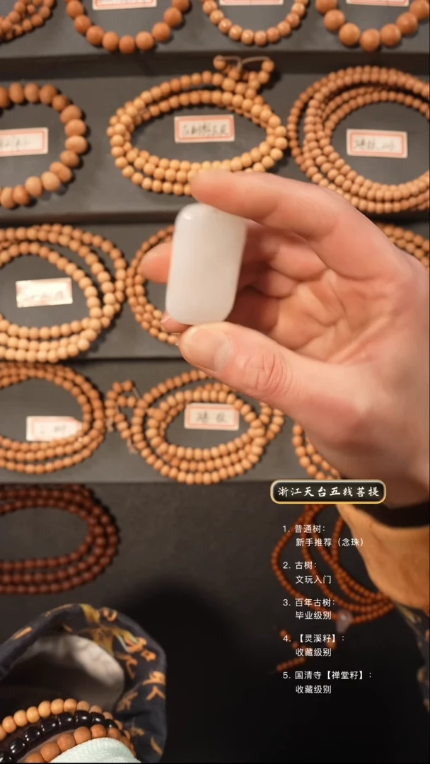 【闪购商品】五线菩提吊坠手串