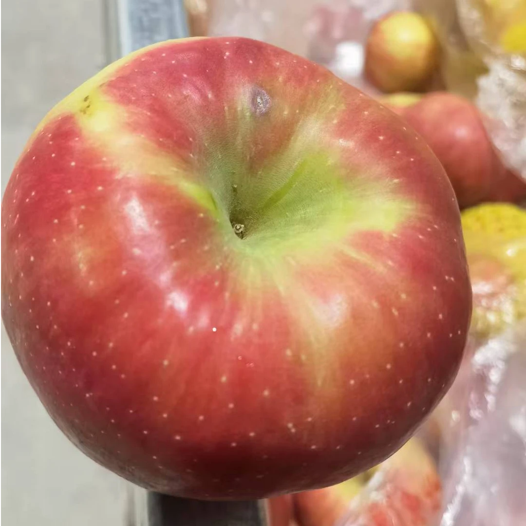 新品种秦脆苹果高次果不影响口感皮薄脆甜汁水丰富