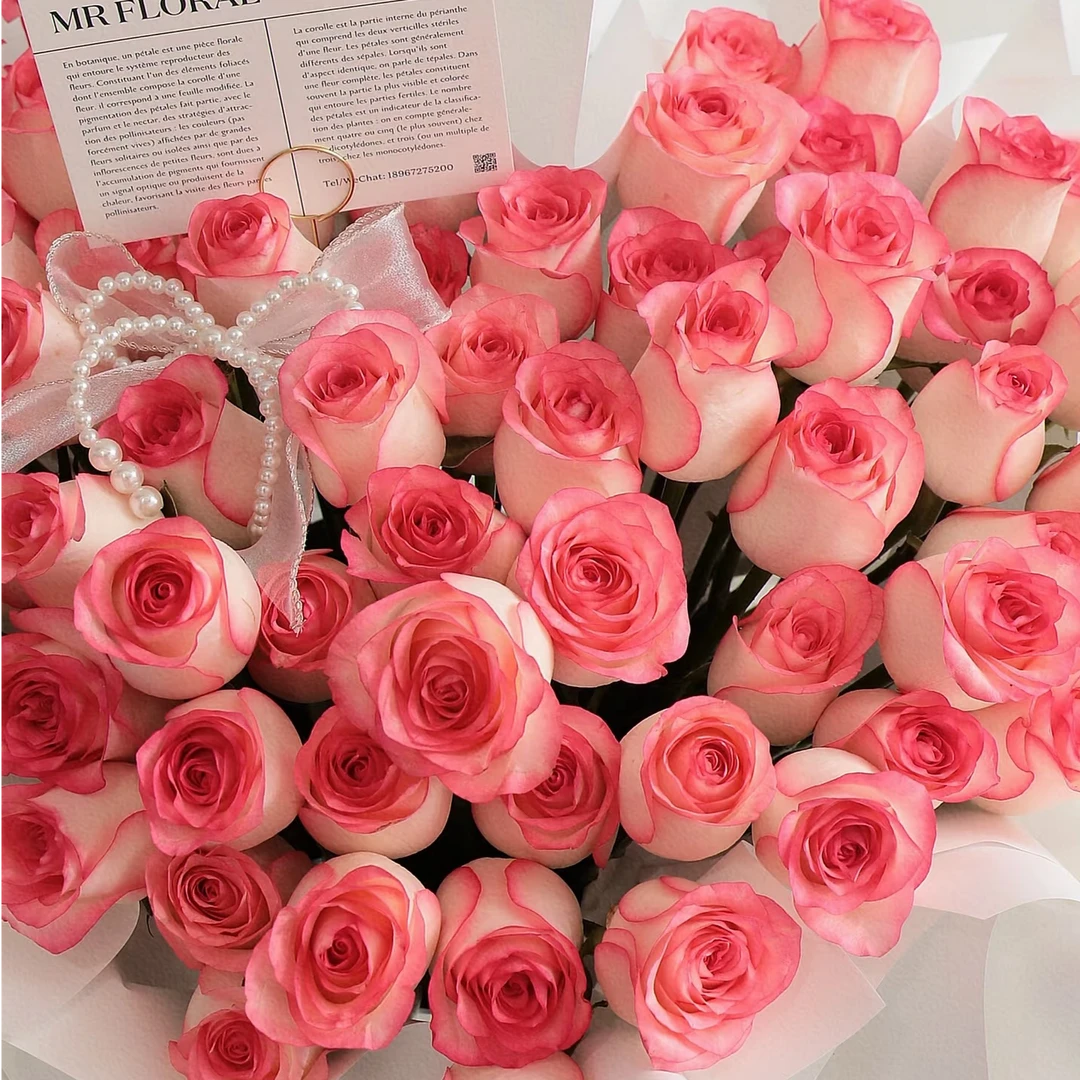 【艾莎】单头玫瑰 云南鲜花 任意2单鲜花升级顺丰包邮