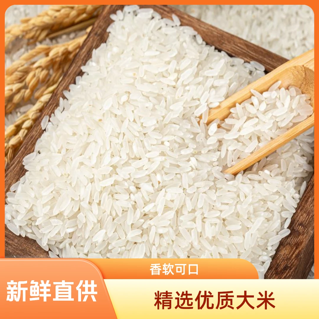 南方正宗长粒香米晚稻长粒大米5kg包装10斤