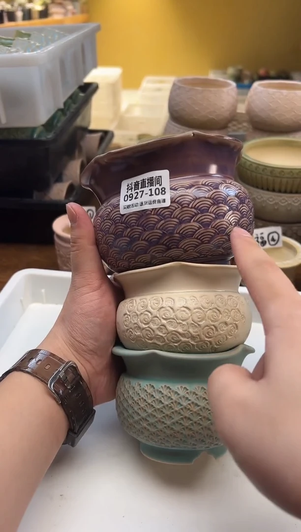 0927-108内口9秋日上盆季“拍一发三”
