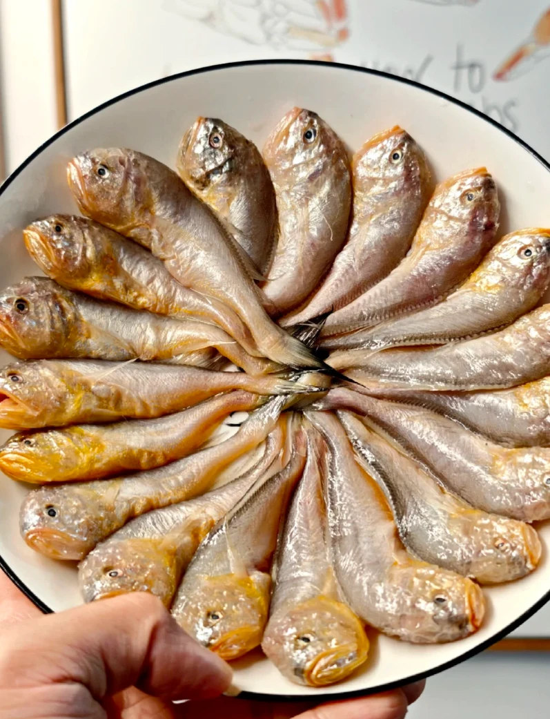 【3斤梅童鱼】1斤18-22条东海野生海捕 肉质鲜美 顺丰冷链包邮