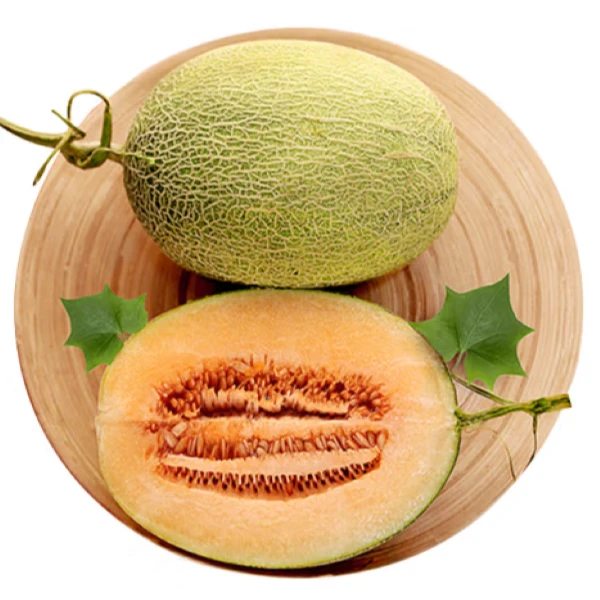 【酥脆甜】海南海沙地哈密瓜