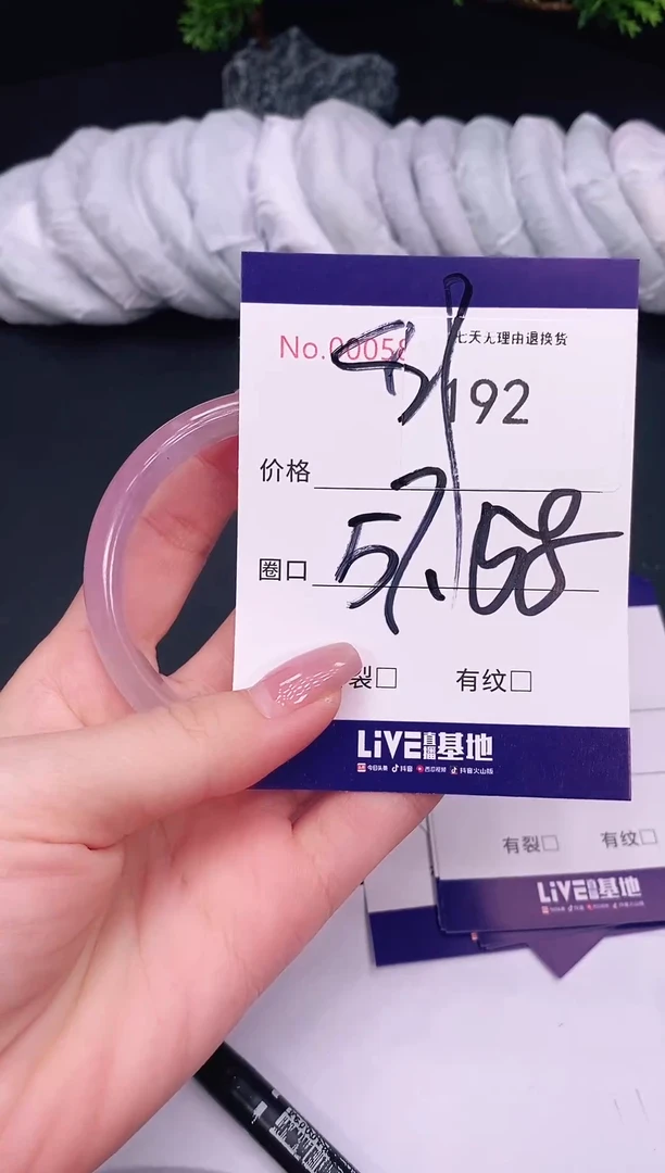 未镶嵌手镯翡翠192