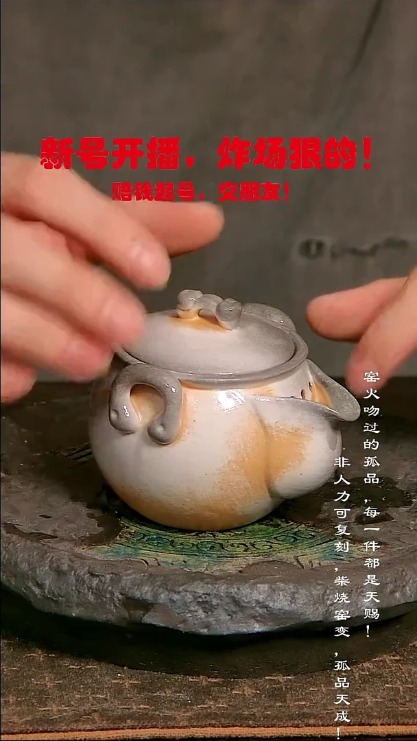 058【溯本】瓷片****瓷片