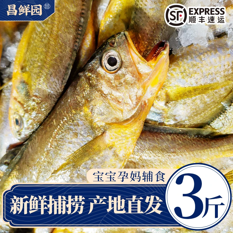 H舟山海鲜深海小黄鱼生鲜冷冻鲜活4条/斤 3斤装