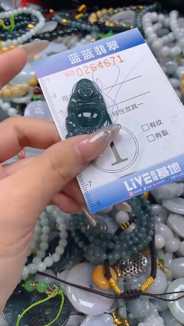 翡翠未镶嵌颈饰闪购0264671