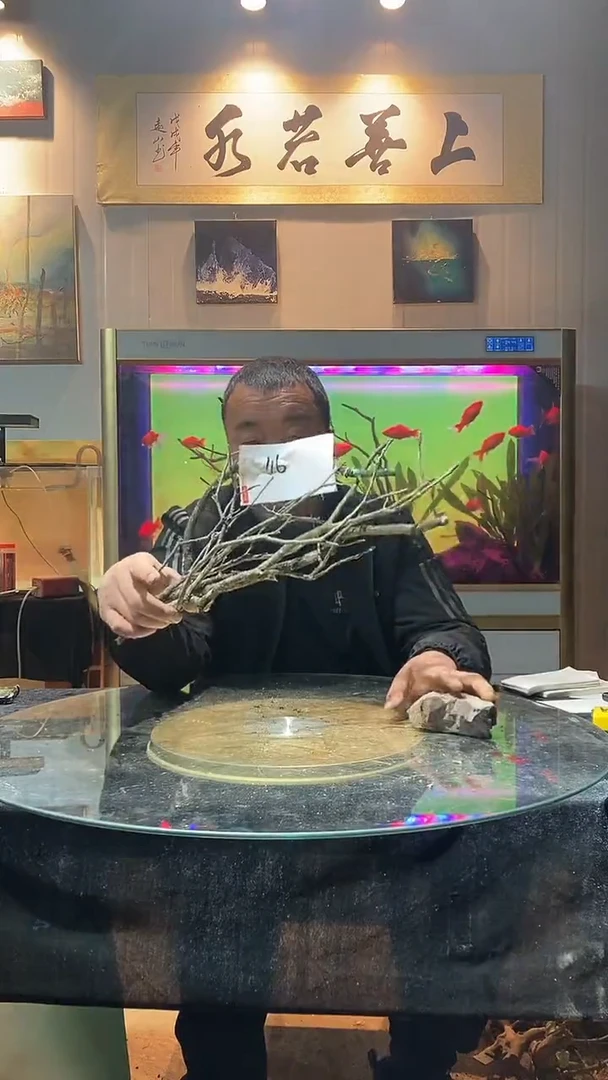 116号天然黄栎木1组适合40缸小米一代缸