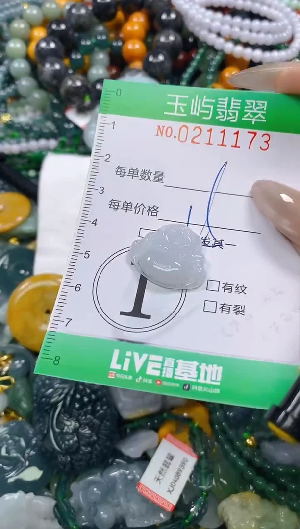 颈饰未镶嵌翡翠闪购0211173