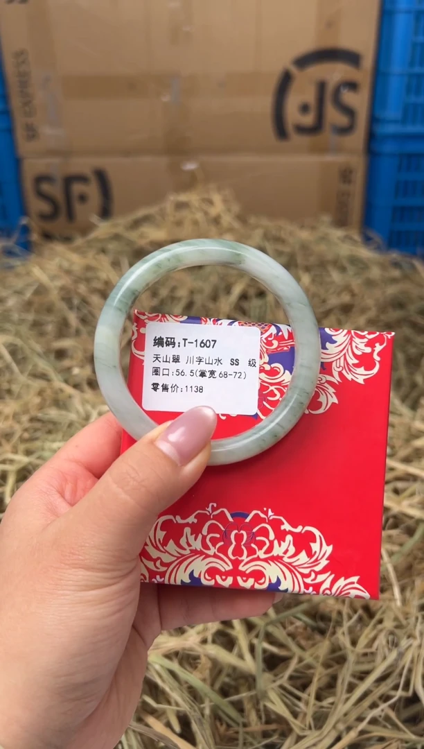 未镶嵌手镯石英质玉T-1607
