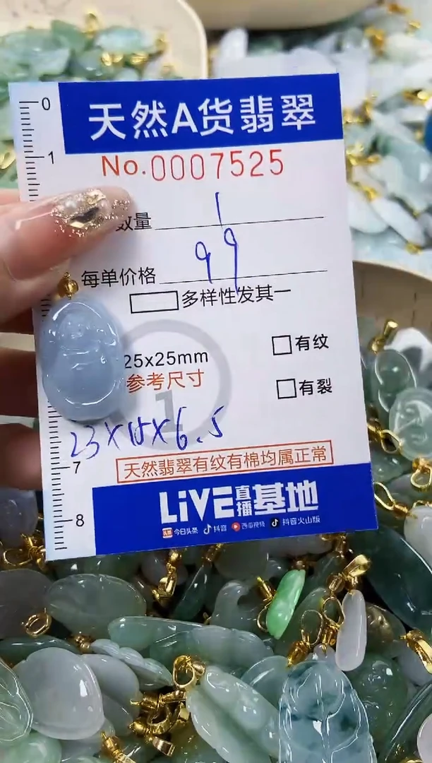 翡翠未镶嵌颈饰C****g天然A货翡翠