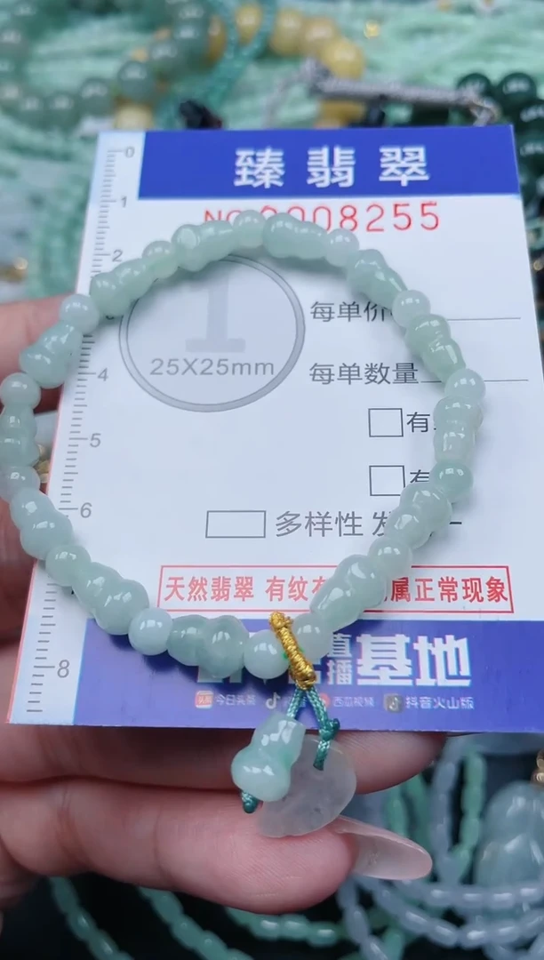 翡翠未镶嵌颈饰.0008255
