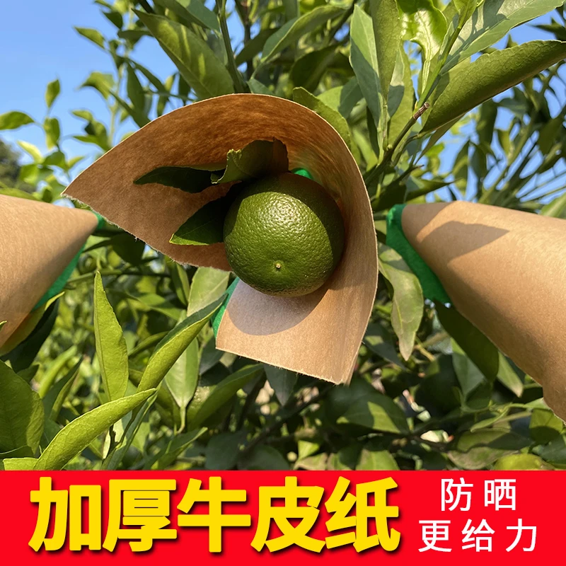 柑橘防牛皮纸晒贴纸太阳果贴纸水果防晒纸柑桔防晒贴果子橘子包装