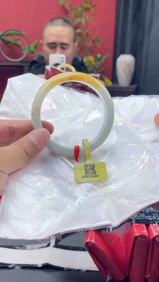 未镶嵌手镯翡翠7