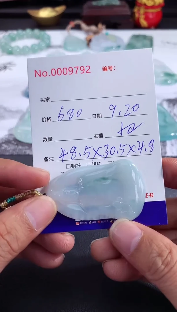 颈饰未镶嵌翡翠素衣