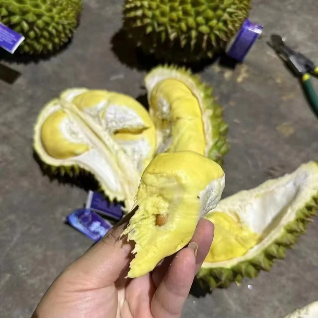 【1颗/6-6.5斤】【D】青尼榴莲 保四房·少房包赔/仅太原榆次可拍