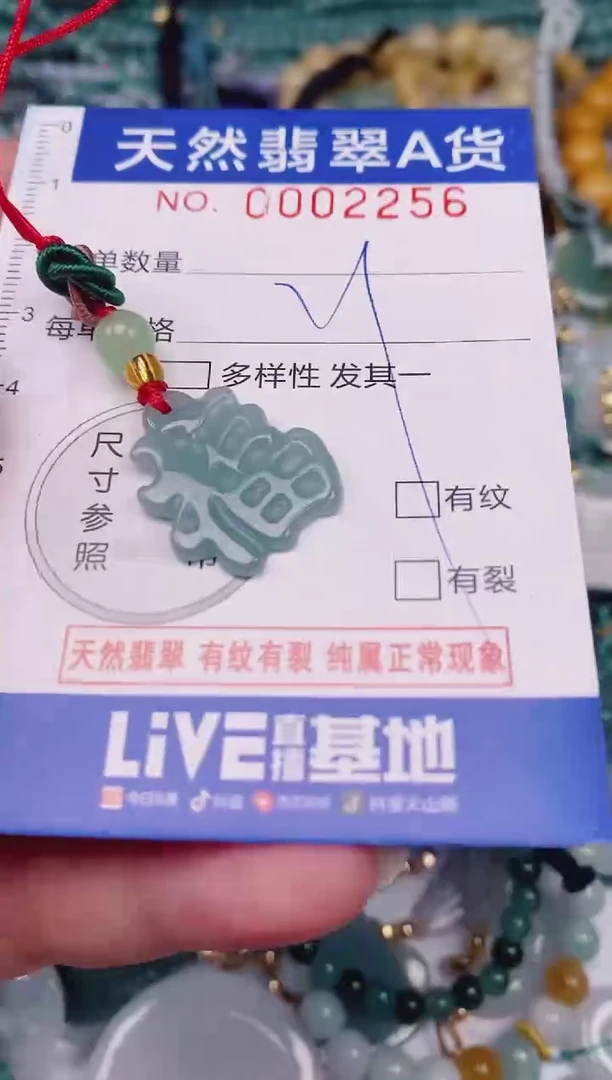 颈饰未镶嵌翡翠00002256