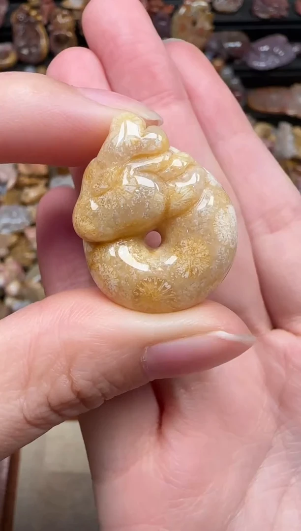 颈饰未镶嵌硅化珊瑚（珊瑚玉）244