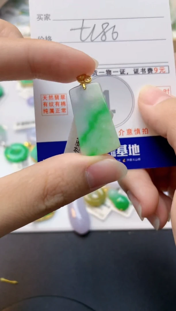 颈饰未镶嵌翡翠天然缅甸A货翡翠