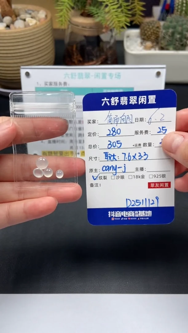 翡翠未镶嵌颈饰D2511129