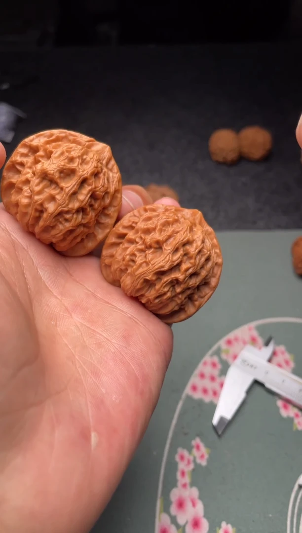 把件文玩核桃a127  龙脉 41尺