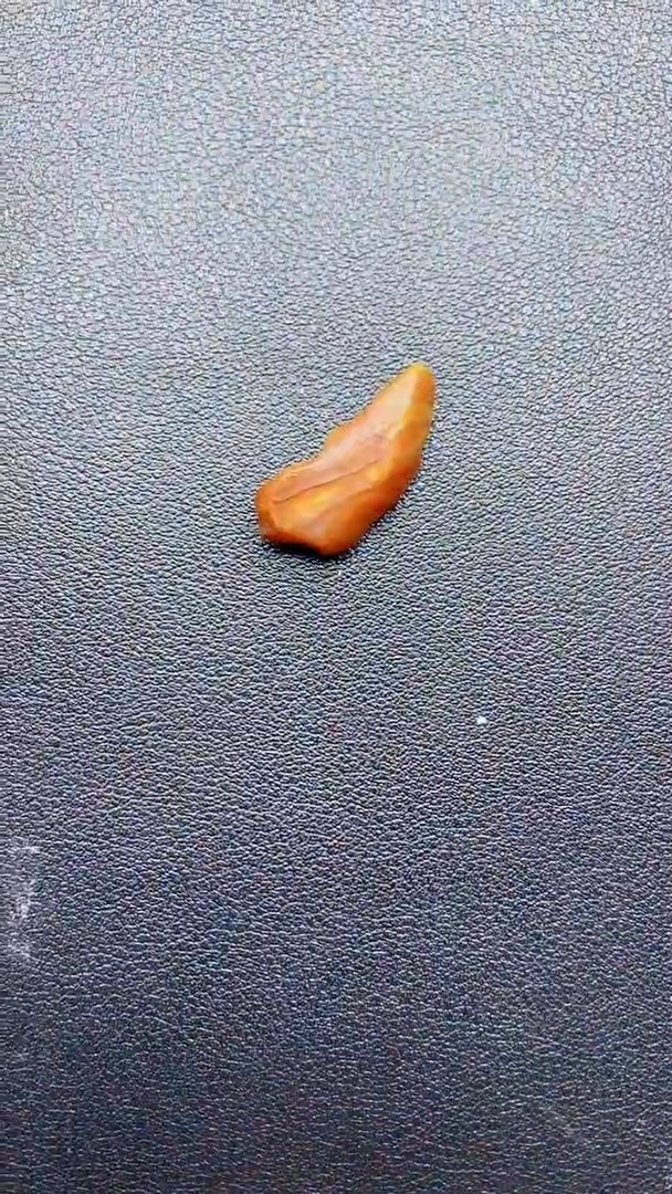 琥珀未镶嵌珠宝奇石1