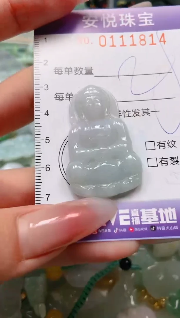 【闪购商品】翡翠颈饰未镶嵌闪购0111814