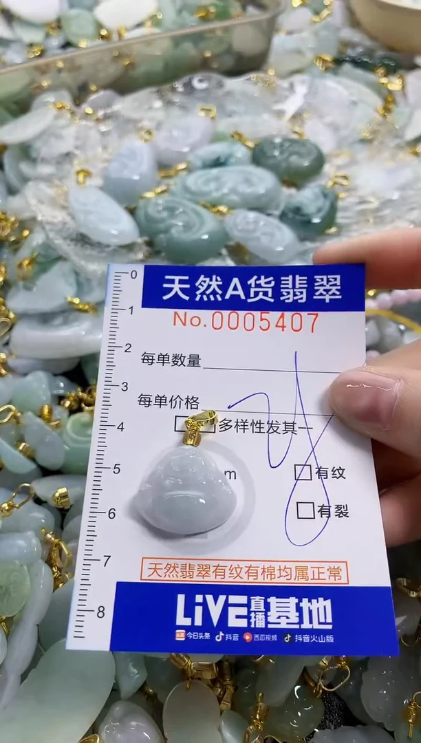 颈饰未镶嵌翡翠天然A货翡翠