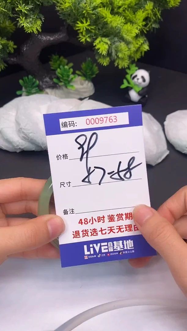未镶嵌手镯翡翠9763