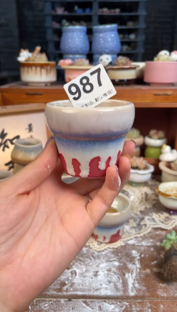 瓷片987小芳花盆直播编号