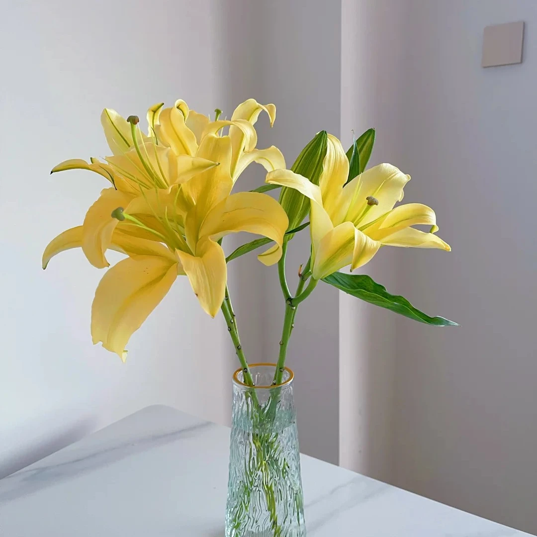【源头优选】黄色闪光香水百合云南直发鲜花家居水养插花鲜切花