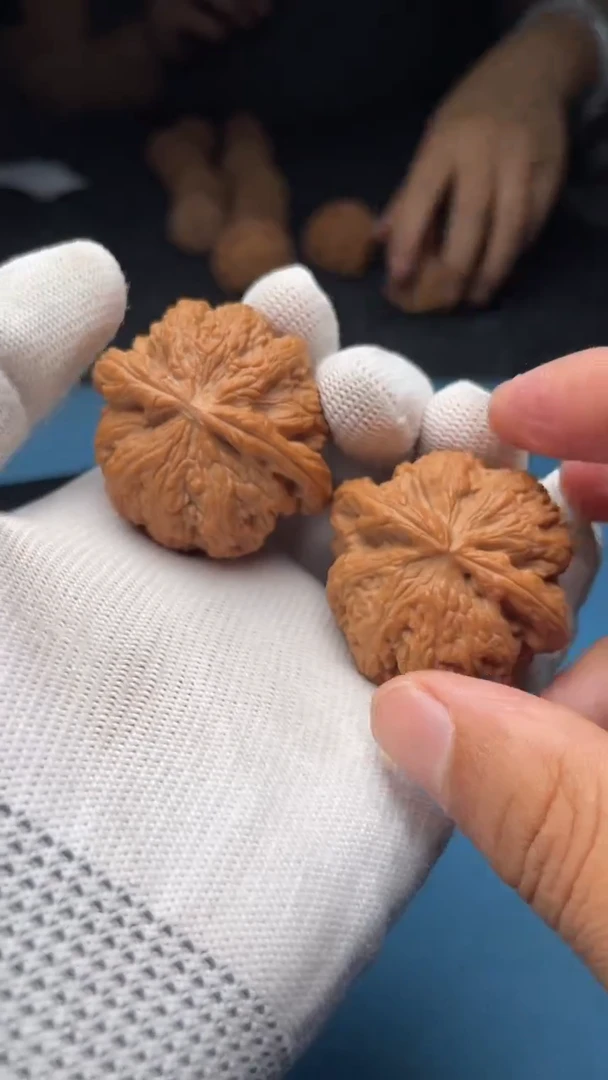 桃核把件a171   大粗筋  42尺