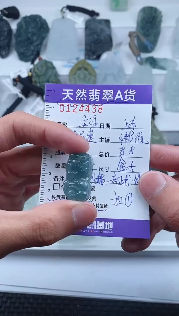 【闪购商品】翡翠颈饰未镶嵌         438