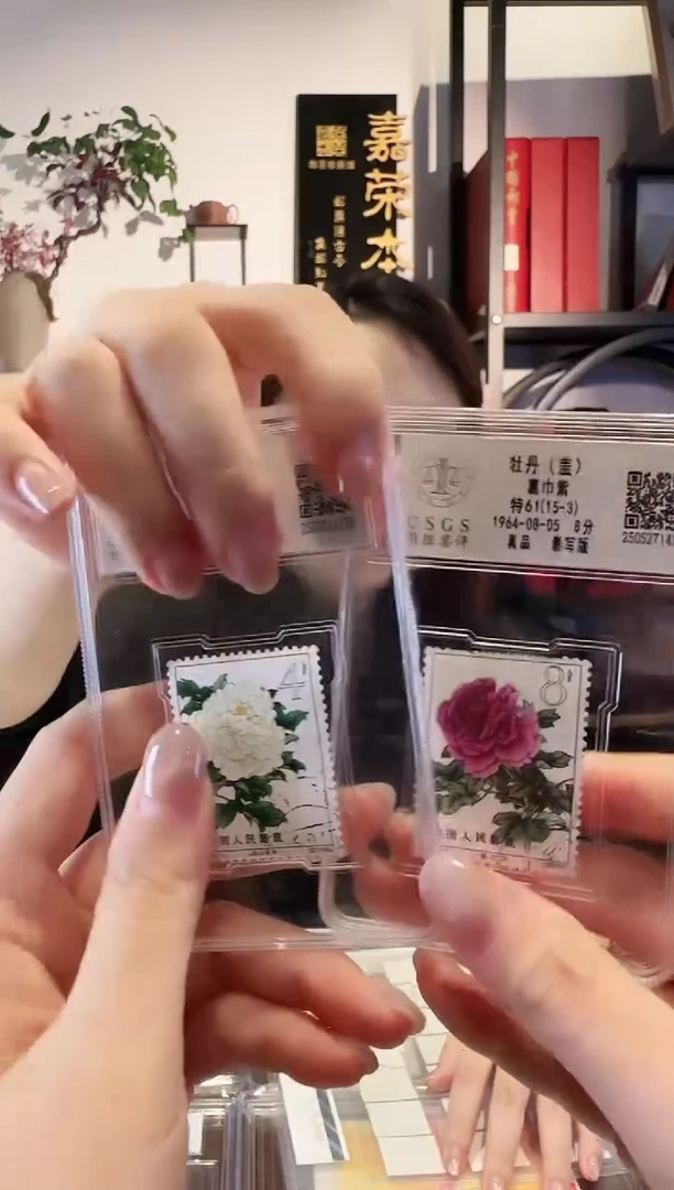 牡丹（-2 -3）-评级