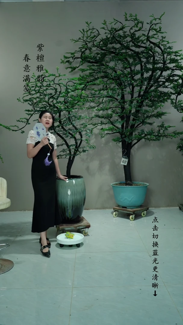 无花朵尚**璇一对链接