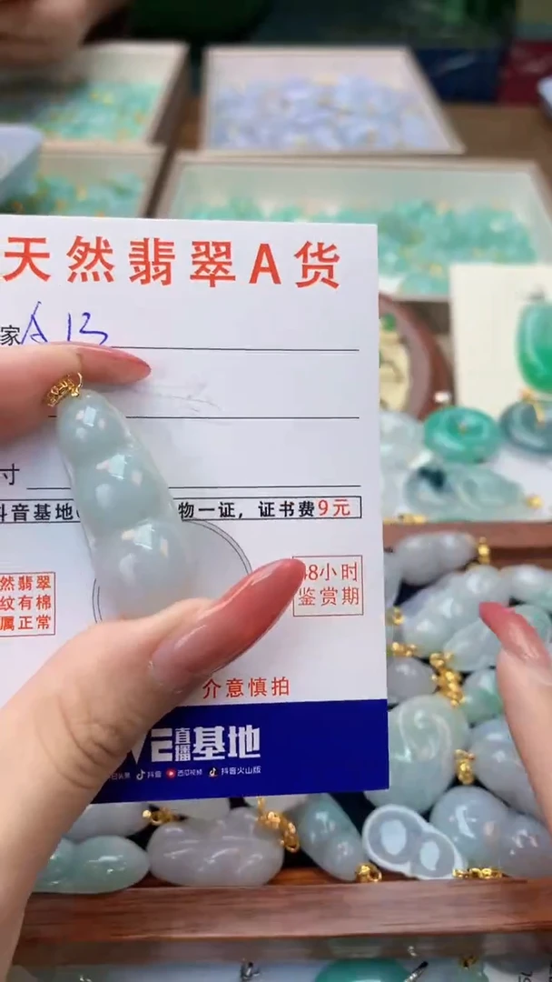颈饰未镶嵌翡翠天然A货翡翠挂件
