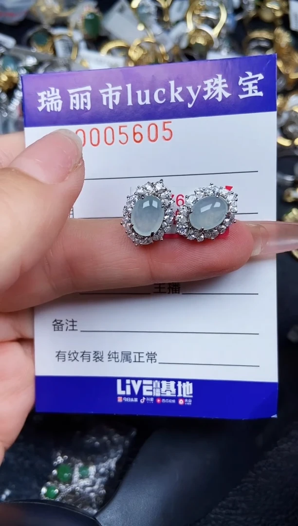 翡翠银S925镶嵌颈饰5605