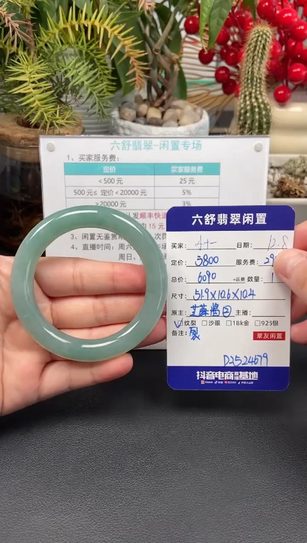 未镶嵌手镯翡翠小*一D2524679