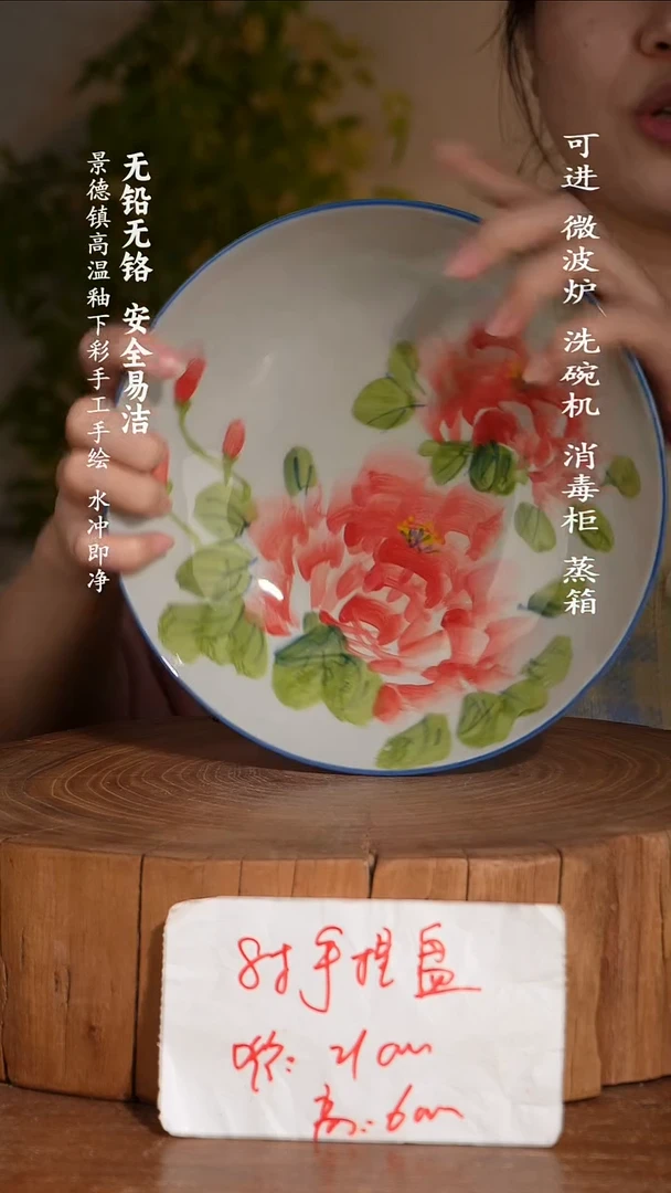 碗瓷景德镇高温瓷釉下彩手绘陶瓷