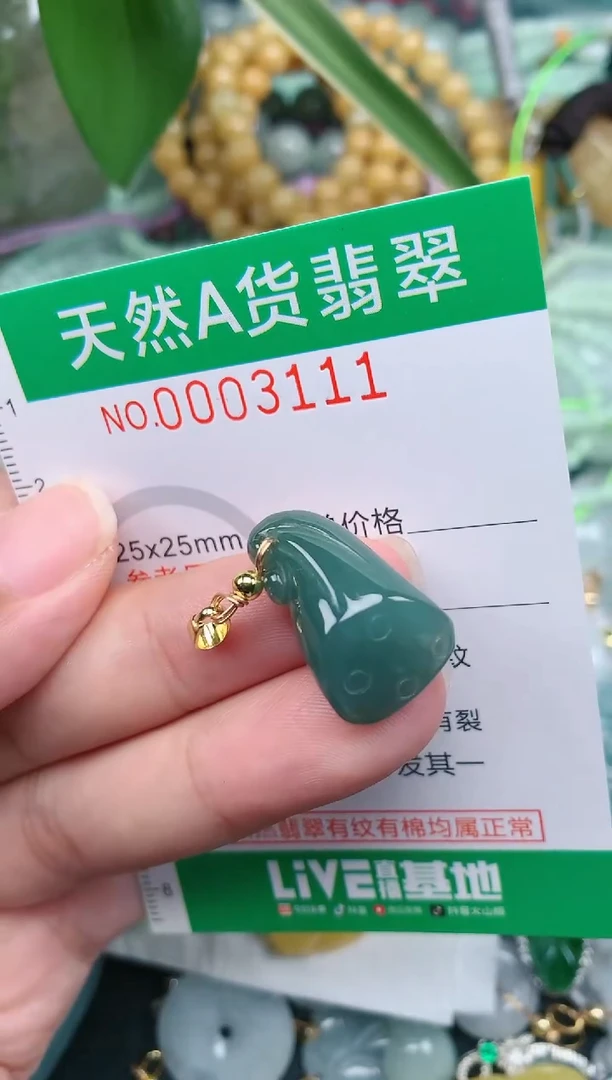 翡翠未镶嵌颈饰.0003111