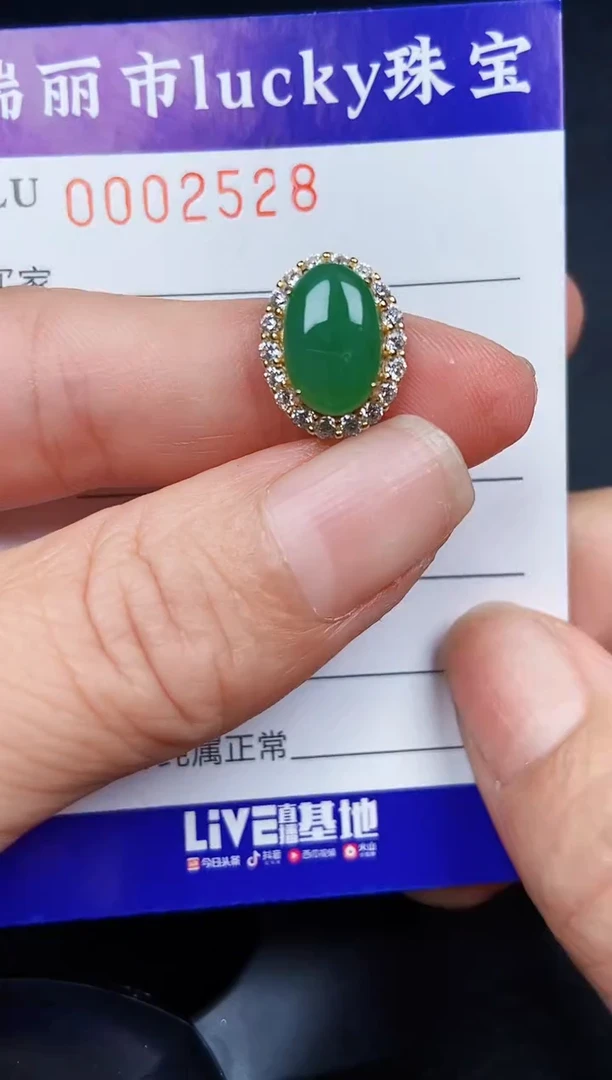 翡翠银S925镶嵌颈饰2528