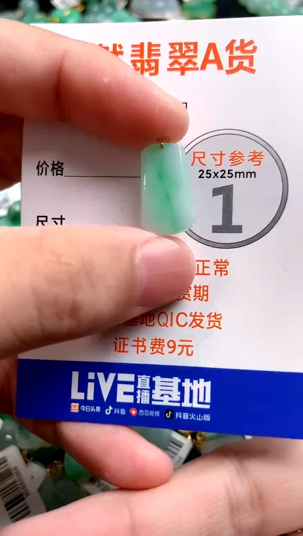 颈饰18K金镶嵌翡翠0247998881